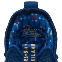 Nike LeBron 14 - Célébration de la Carrière de LeBron James